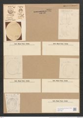 Anorthoneis exentrica [sic] (Donk.) Grun. (de-Toni-Nr.: Genus 42, Species 1917) Zeichnungen Sammlung Grunow Nr. 3810 (NHMW-BOT-W0371490)